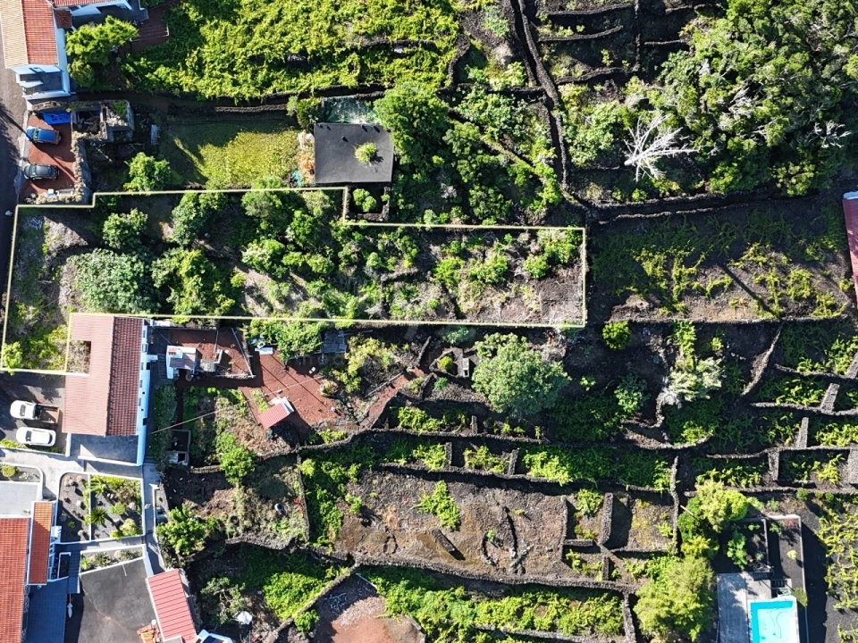 Terreno para Venda em São Mateus Foto 3
