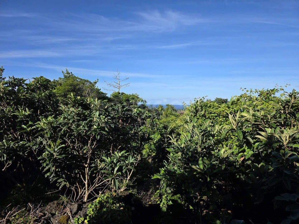 Terreno para Venda em São Mateus Foto 5