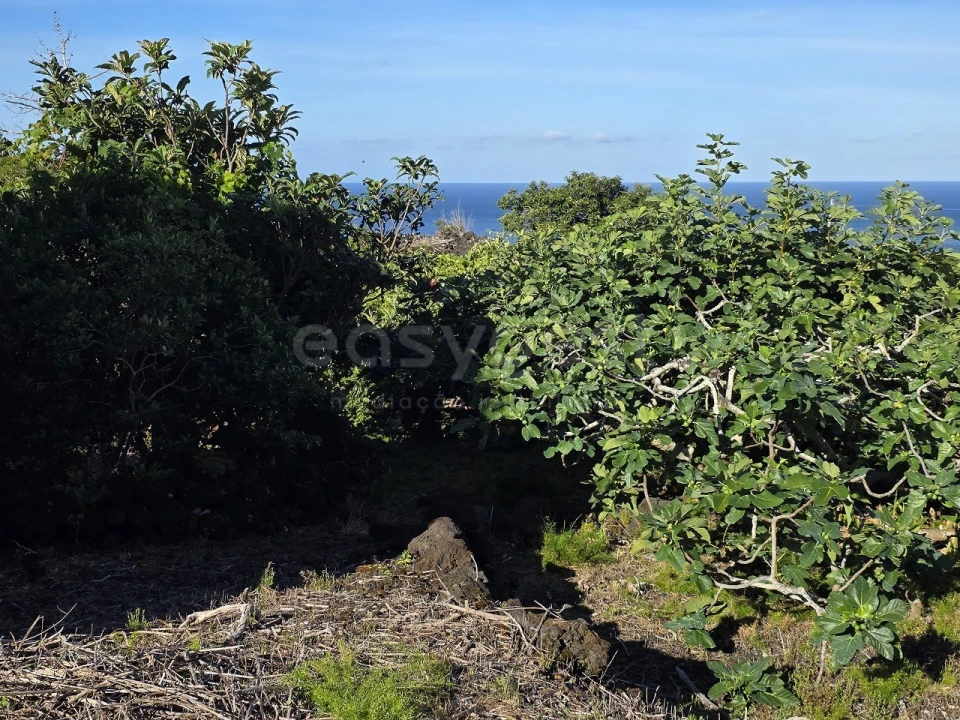 Terreno para Venda em São Mateus Foto 6