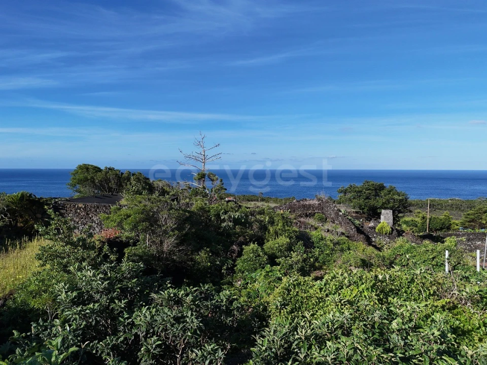 Terreno para Venda em São Mateus Foto 7