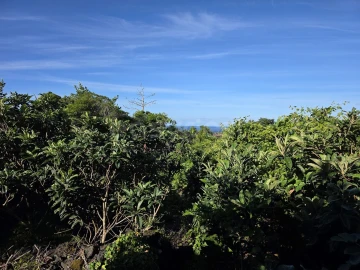 Terreno para Venda em São Mateus