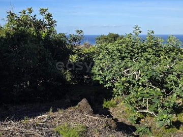 Terreno para Venda em São Mateus