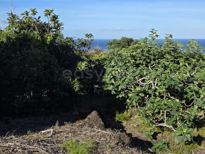 Terreno para Venda em São Mateus Foto 6