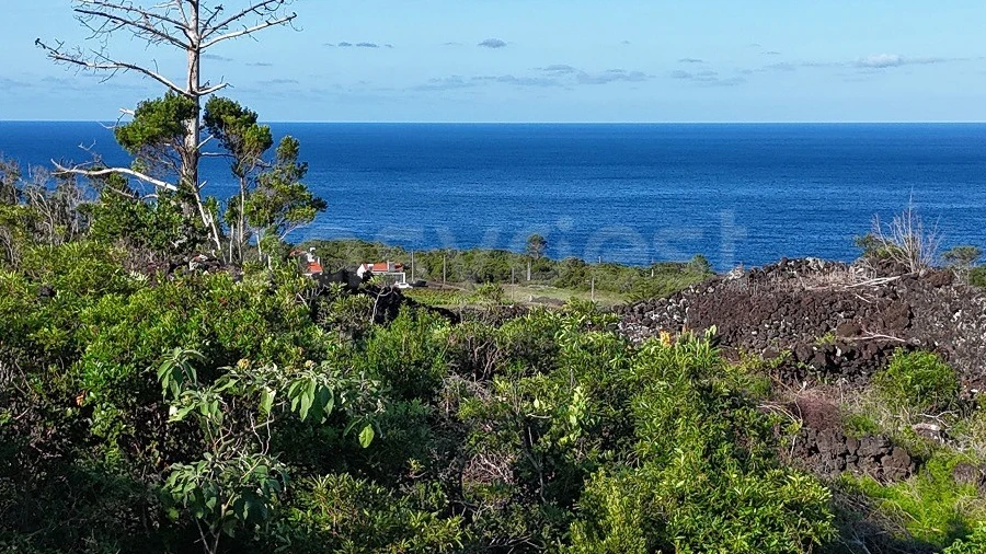 Terreno para Venda em São Mateus