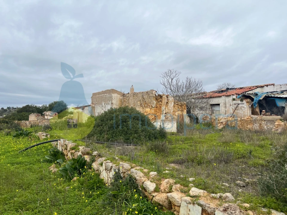 Terreno Misto para Venda em Alcantarilha e Pêra Foto 11