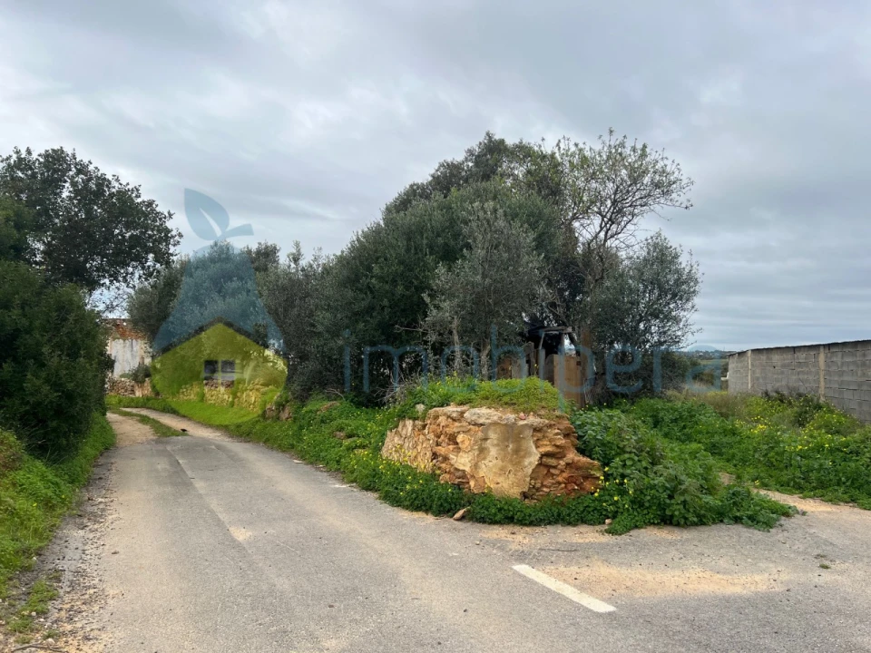 Terreno Misto para Venda em Alcantarilha e Pêra Foto 14