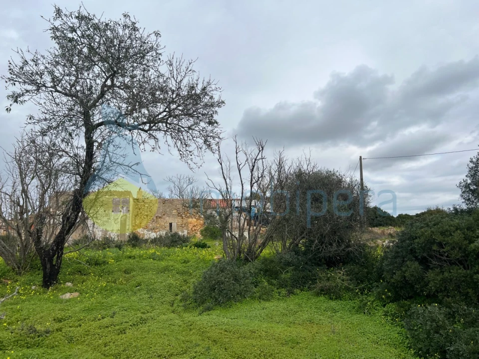 Terreno Misto para Venda em Alcantarilha e Pêra Foto 16