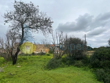 Terreno Misto para Venda em Alcantarilha e Pêra