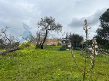 Terreno Misto para Venda em Alcantarilha e Pêra