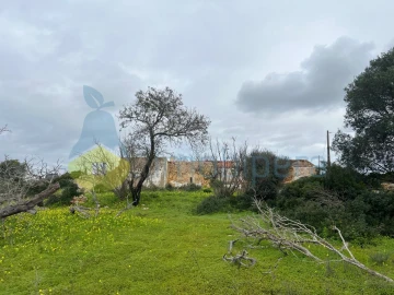 Terreno Misto para Venda em Alcantarilha e Pêra