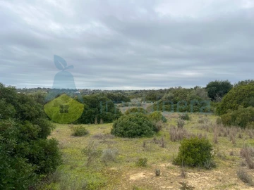 Terreno Misto para Venda em Alcantarilha e Pêra
