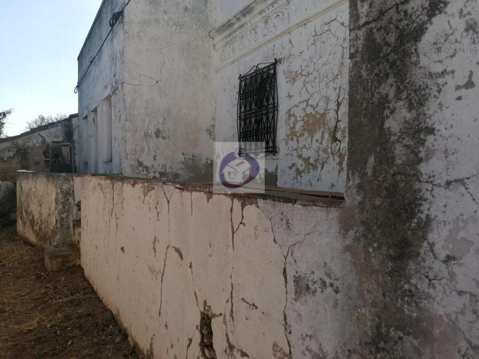 Quinta T4 para Venda em Moncarapacho e Fuseta Foto 2