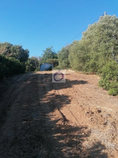 Quinta T4 para Venda em Moncarapacho e Fuseta