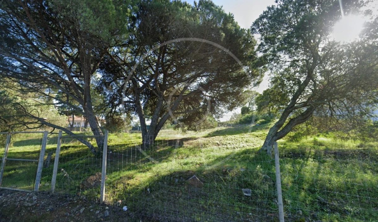 Terreno para Venda em Cascais e Estoril Foto 4