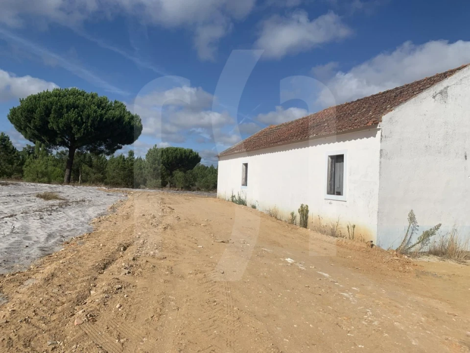 Terreno para Venda em Grândola e Santa Margarida da Serra Foto 2