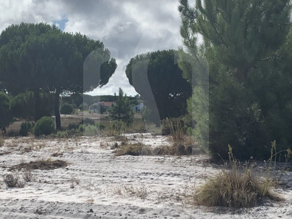Terreno para Venda em Grândola e Santa Margarida da Serra Foto 14