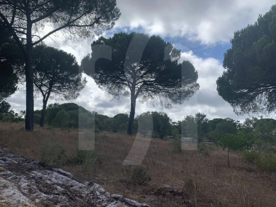 Terreno para Venda em Grândola e Santa Margarida da Serra Foto 17