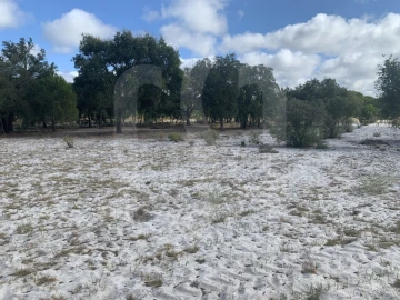Terreno para Venda em Grândola e Santa Margarida da Serra