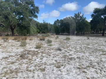 Terreno para Venda em Grândola e Santa Margarida da Serra