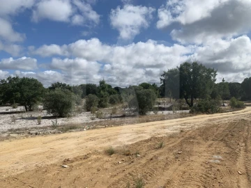 Terreno para Venda em Grândola e Santa Margarida da Serra