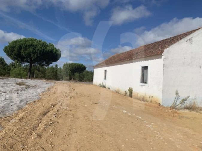 Terreno para Venda em Grândola e Santa Margarida da Serra Foto 2