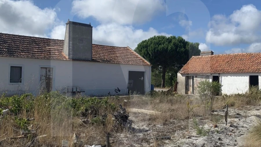Terreno para Venda em Grândola e Santa Margarida da Serra