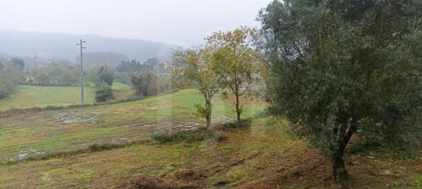 Quinta T3 para Venda em Navió e Vitorino dos Piães