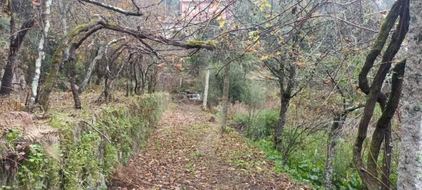 Quinta T3 para Venda em Navió e Vitorino dos Piães
