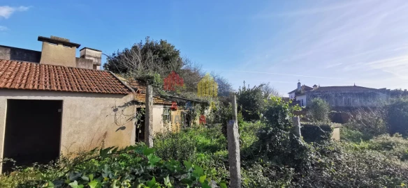 Loja para Venda em Murtosa