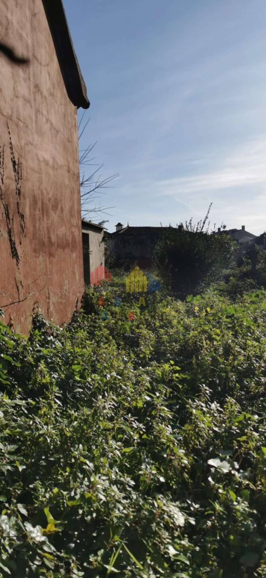 Loja para Venda em Murtosa Foto 2