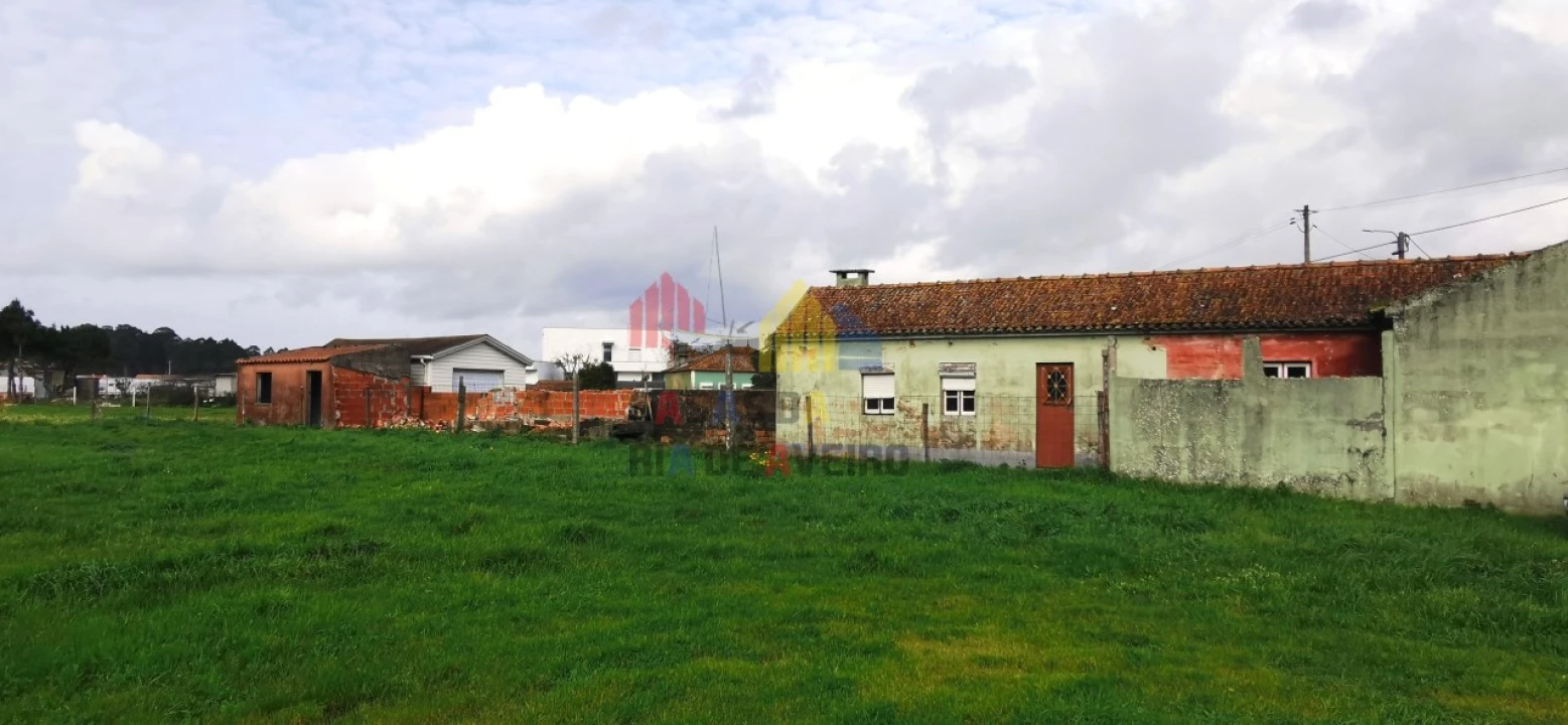 Quinta T2 para Venda em Monte Foto 2