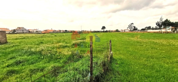 Quinta T2 para Venda em Monte