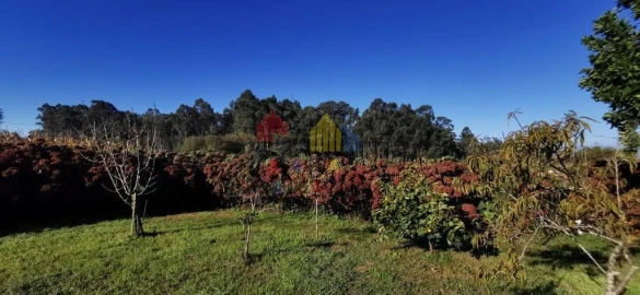 Moradia T3 para Venda em Bunheiro