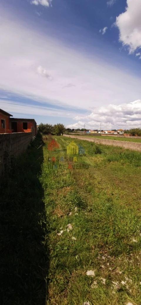 Terreno para Venda em Monte