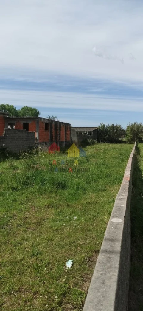 Terreno para Venda em Monte