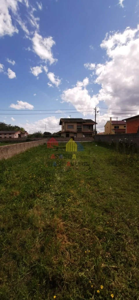 Terreno para Venda em Monte