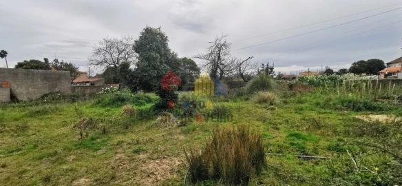 Terreno para Venda em Beduído e Veiros