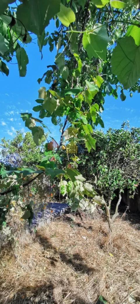 Moradia T4 para Venda em Monte