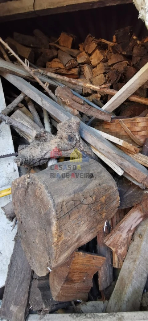 Moradia T4 para Venda em Monte