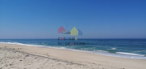 Terreno para Venda em Torreira
