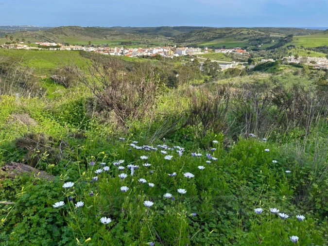 Terreno para Venda em Budens Foto 19