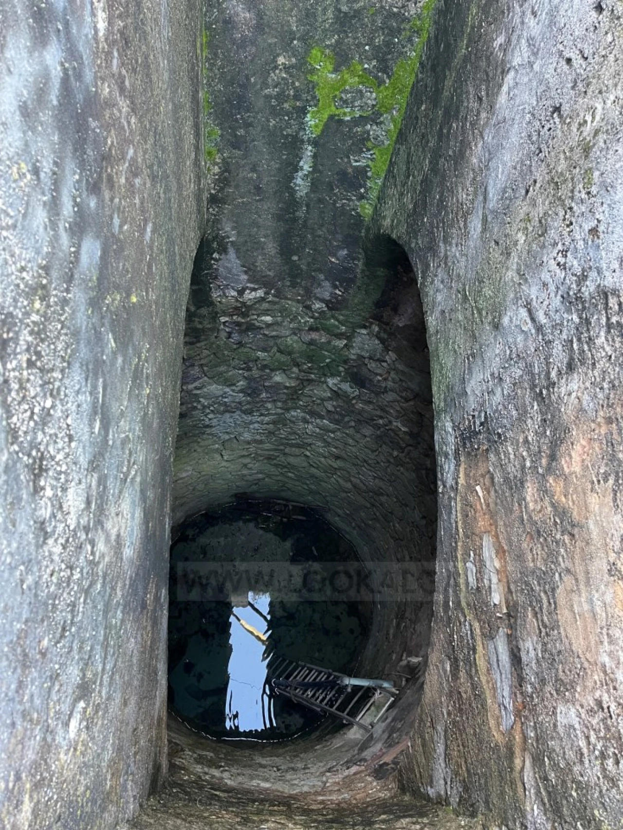 Quinta T2 para Venda em Lagos (São Sebastião e Santa Maria) Foto 11
