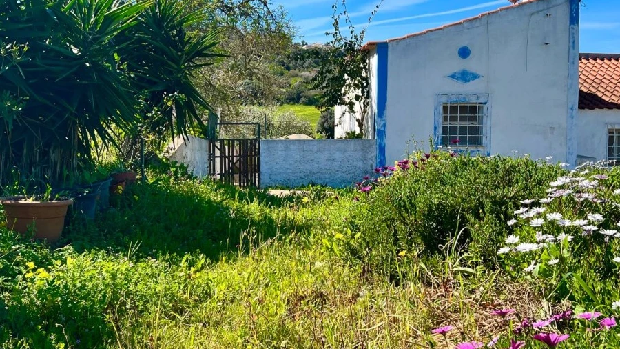 Quinta T2 para Venda em Lagos (São Sebastião e Santa Maria)