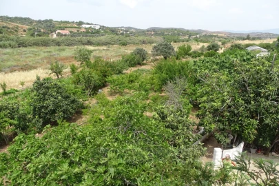 Quinta T4 para Venda em Mexilhoeira Grande