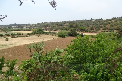Quinta T4 para Venda em Mexilhoeira Grande