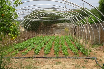 Quinta T4 para Venda em Mexilhoeira Grande