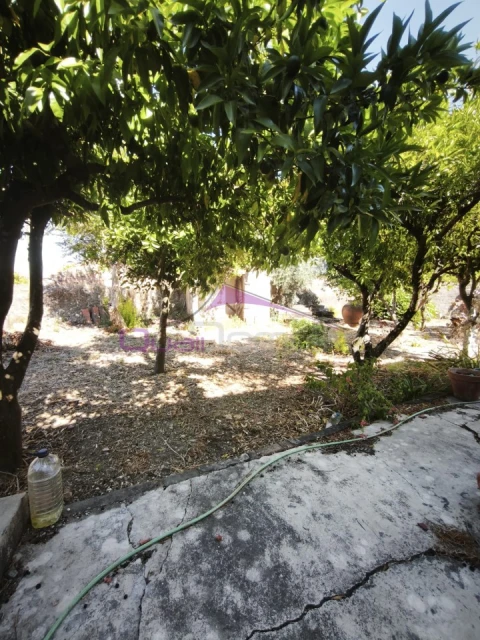 Moradia T6 para Venda em Paialvo