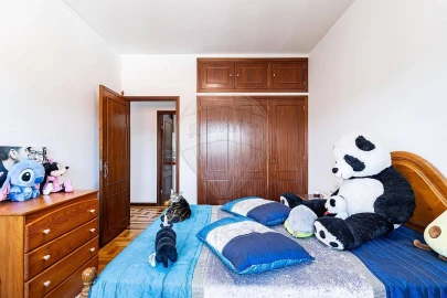 Apartamento T4 para Venda em O. Azeméis, Riba-Ul, Ul, Macinhata Seixa, Madail
