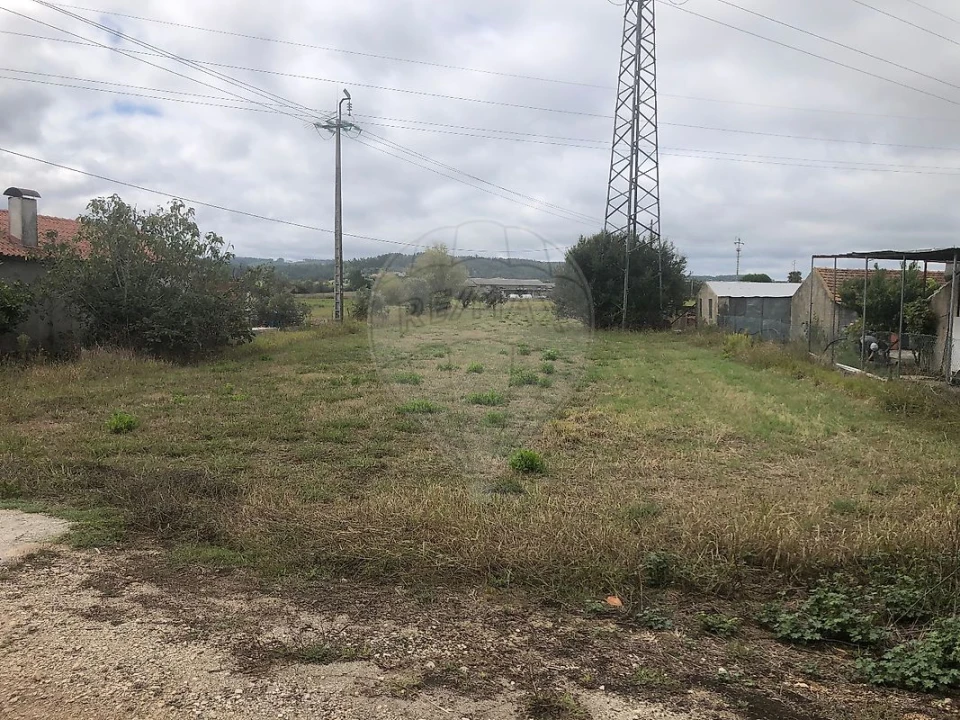 Terreno para Venda em Santo Varão Foto 15