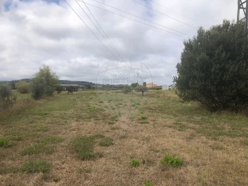 Terreno para Venda em Santo Varão